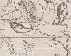 Созвездие Рыб на старой карте неба