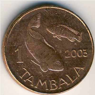 Malawi, 1 tambala, 2003