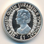 Олдерни, 1 фунт (2001 г.)