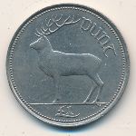 Ирландия, 1 фунт (1990–2000 г.)