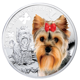 Coin "Yorkshire Terrier" 