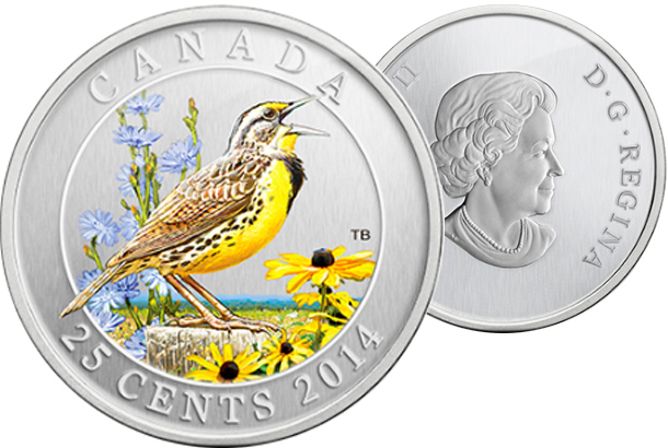 Eastern Meadowlark - Coloured Coin