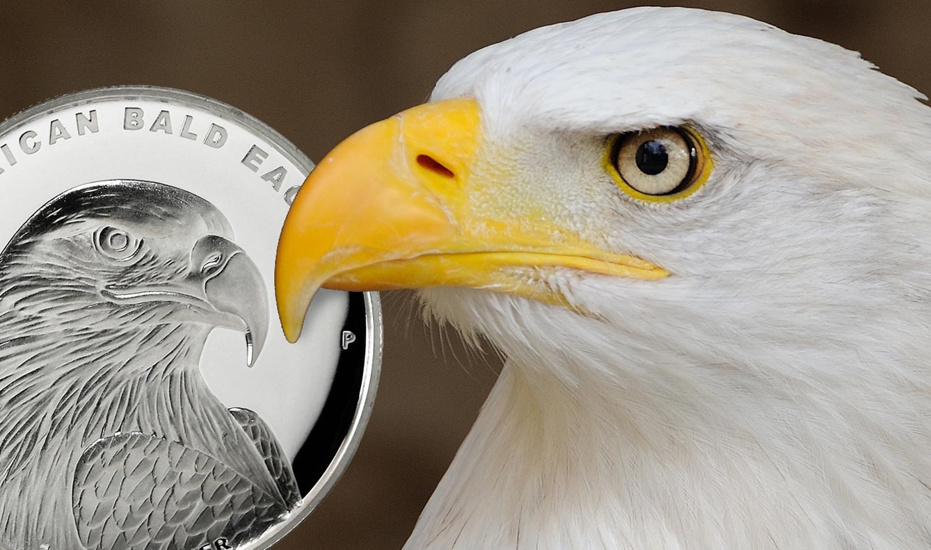 Bald Eagle is the subject of the Perth Mints latest high relief coin