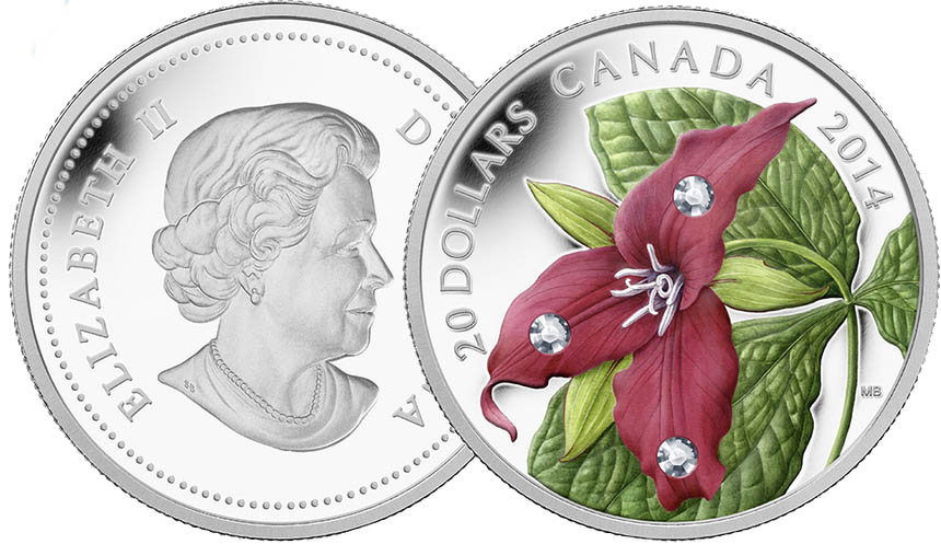 In combining the beauty and simplicity of multiple Swarovski Crystals with its unique colorization process, the Royal Canadian Mint has produced a marriage made in heaven! Here we find an exquisite Red Trillium blossom bejeweled with not one, but three, Swarovski Crystal dewdrops, with a second technology, the Mint's proprietary colorization, thrown in for good measure!  Three "dewdrops" glitter from the beautiful red trillium on this coin. Its name comes from the Greek word tris which means "thrice", and describes the flower's three petals, three sepals and three leaves.   The petals are a rich, deep red and form one of nature's most distinctive blooms that is breathtaking and unforgettable in its simplicity. Trillium erectum is native to northeastern North America, and was once common throughout the deciduous forests of Ontario, Quebec, New Brunswick and Nova Scotia, but overpicking and development have made it increasingly rare.  In spring, each plant produces a single flower, and picking it can be fatal, or hinder the plant's ability to bloom for several years. The red trillium is a slow-growing plant that can live for 30 years, but may take as many as 15 to bloom; this stunning coin delivers a crystal-enhanced flower to enthral admirers for generations to come.  This striking coloured coin dotted with 3 Swarovski crystal elements captures the glory of spring's early-flowering Trillium erectum—the lovely red trillium.  Incredible artistry: the full-colour original artwork by Canadian artist Margaret Best is engraved and finished with exceptional craftsmanship by Royal Canadian Mint engravers.