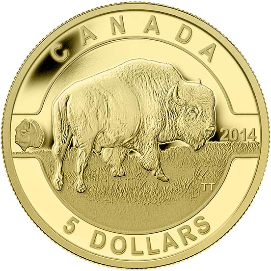 Pure Gold Coin - Bison