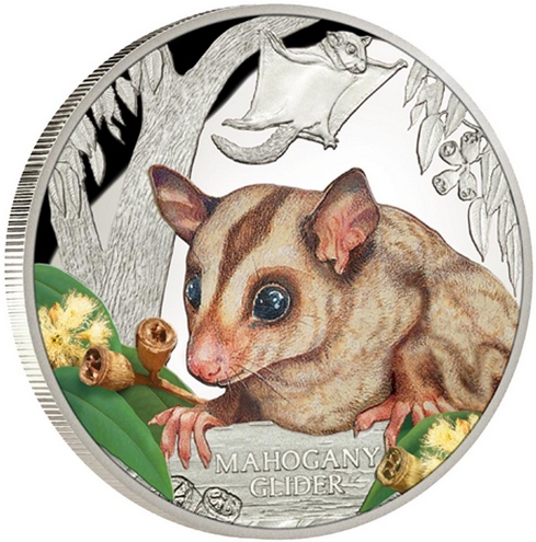 Endangered and Extinct – Mahogany Glider 2015