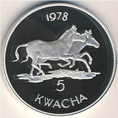 Малави, 5 квача (1978 г.)
