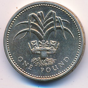 Великобритания, 1 фунт (1985–1990 г.)