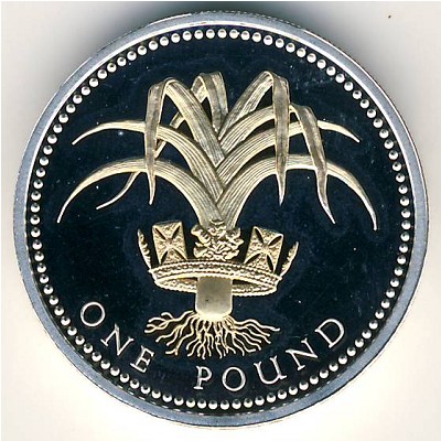 Great Britain, 1 pound, 2008