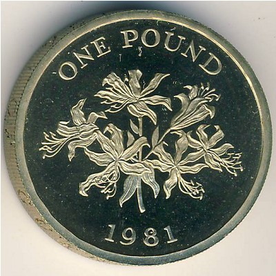 Гернси, 1 фунт (1981 г.)