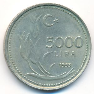 Turkey, 5000 lira, 1993