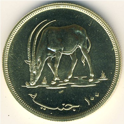 Судан, 100 фунтов (1976 г.)