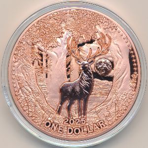 Mesa Grande., 1 доллар, 