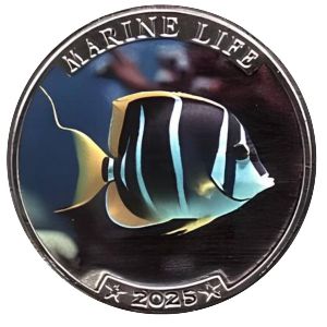 Наркондам., 25 рупий (2025 г.)