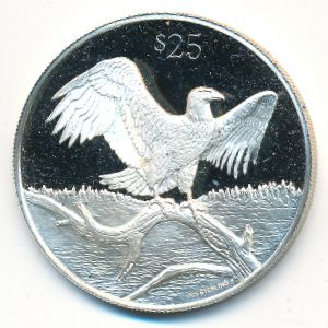 Виргинские острова, 25 долларов (1993 г.)
