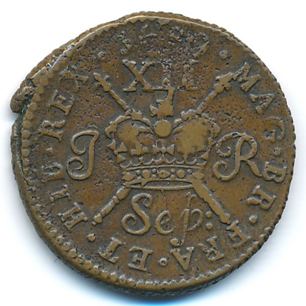 Ирландия, 1 шиллинг (1689 г.)