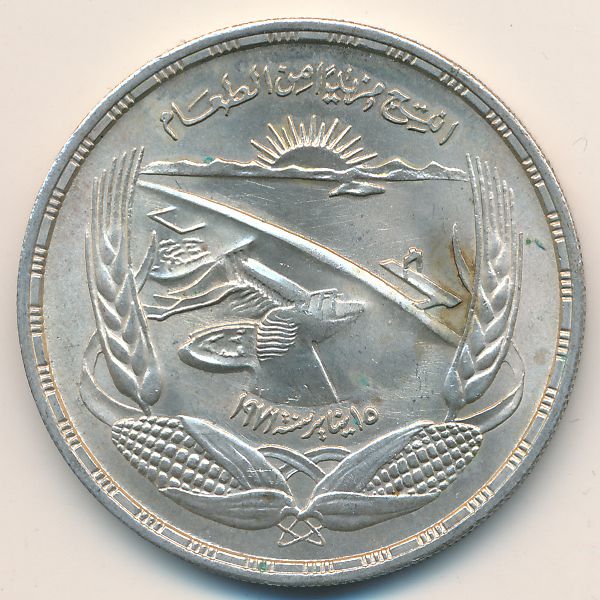Египет, 1 фунт (1973 г.)