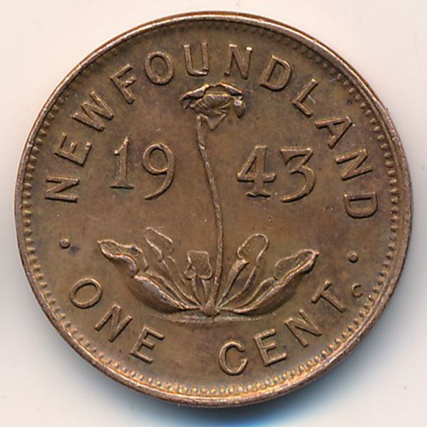 Ньюфаундленд, 1 цент (1943 г.)