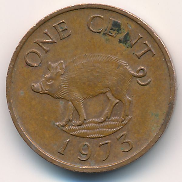 Бермудские острова, 1 цент (1973 г.)