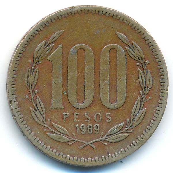 Чили, 100 песо (1989 г.)