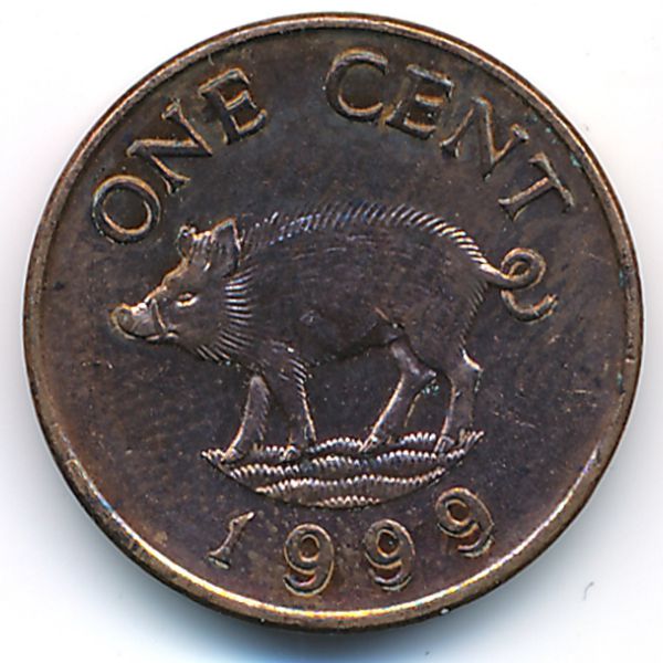 Бермудские острова, 1 цент (1999 г.)