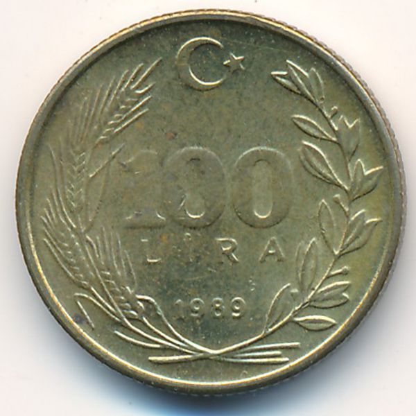 Турция, 100 лир (1989 г.)