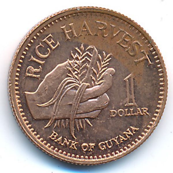 Гайана, 1 доллар (2008 г.)