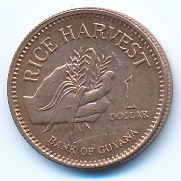 Guyana, 1 dollar, 2008