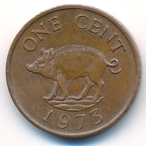 Бермудские острова, 1 цент (1973 г.)