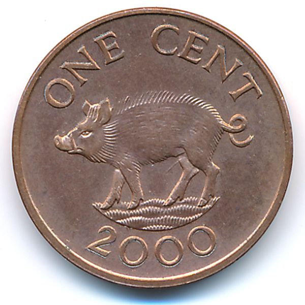 Бермудские острова, 1 цент (2000 г.)