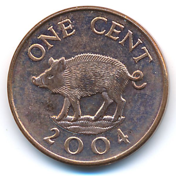 Бермудские острова, 1 цент (2004 г.)