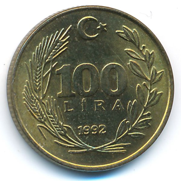 Турция, 100 лир (1992 г.)