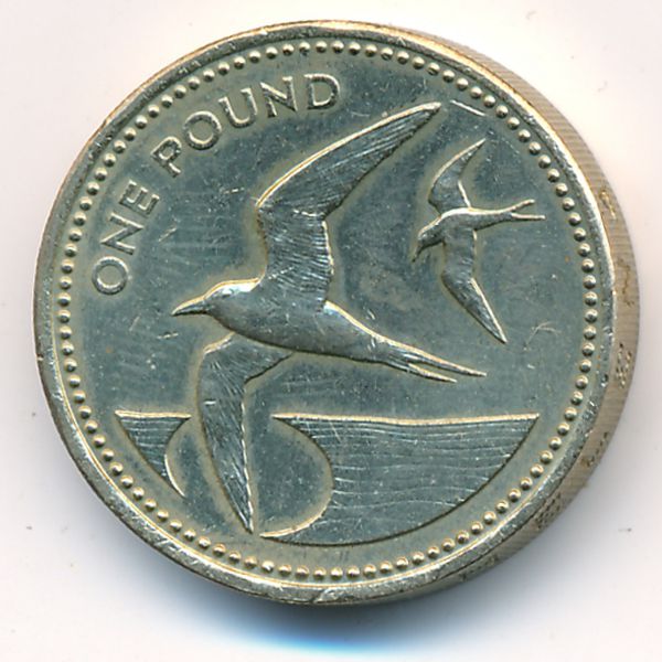 Saint Helena Island and Ascension, 1 pound, 1991