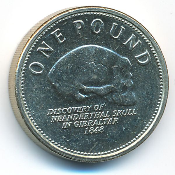 Гибралтар, 1 фунт (2009 г.)
