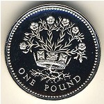 Великобритания, 1 фунт (1986–1991 г.)
