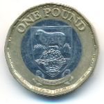 Фолклендские острова, 1 фунт (2020–2021 г.)